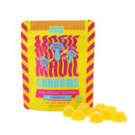 My Magic Shrooms | Pineapple Mushroom Gummies | 10ct